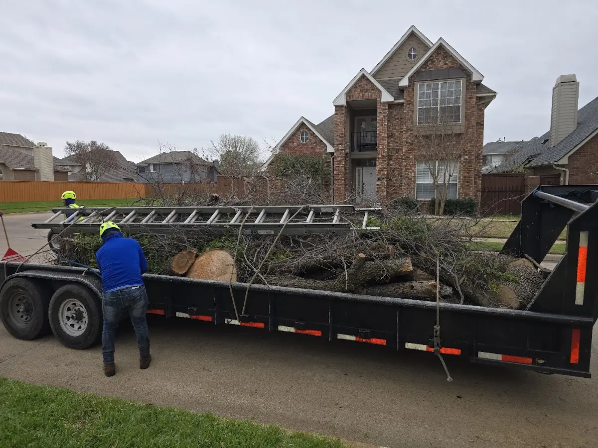 Expert Lot Clearing with proper safety equipment in Vichy